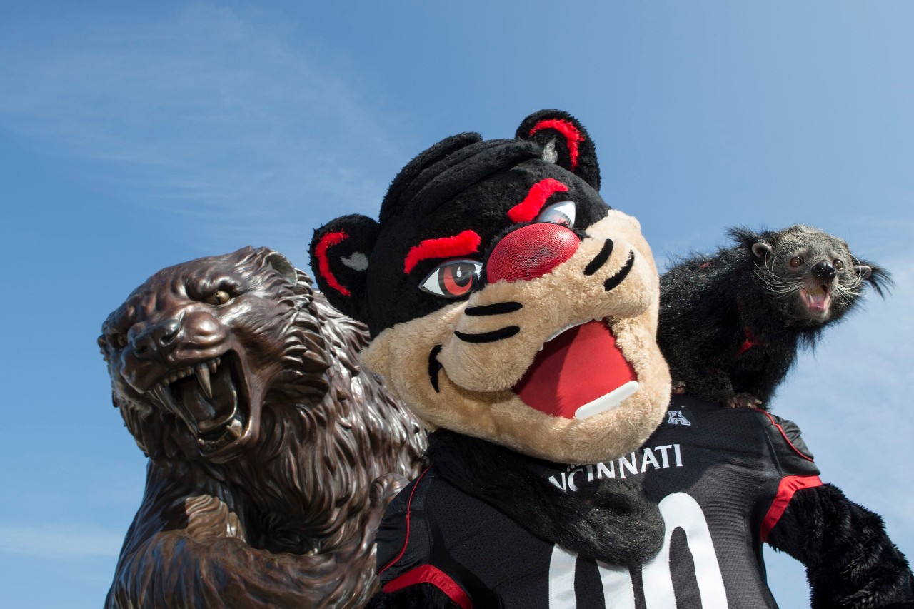 Bearcats